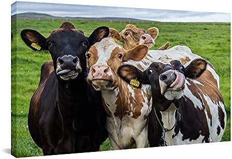 Canvbay Забавната Ферма Крава Печат върху Платно Стенно Изкуство Сладък животни в Прерията Картини с животни Съвременно