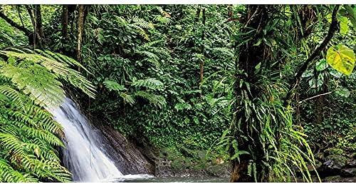 AWERT 24x12 инчов Винил Фона на Терариума В Дълбоката Гора, Фон За Аквариум с Тропически гори, Зелени Дървета, Река,