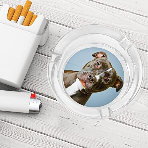 Стъклен Пепелник за Кучета Питбул за Цигари и Пури Класически Кръгли Пепелници от Прозрачен Кристал