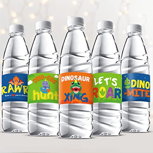 39 Бр. Етикети за бутилки с вода във формата на Динозавър, етикети за бутилки с вода във формата на Динозавър, Опаковки,